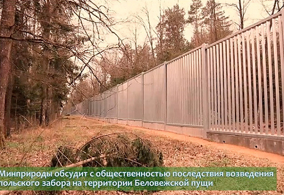 Минприроды обсудит с общественностью последствия возведения польского забора на территории Беловежской пущи