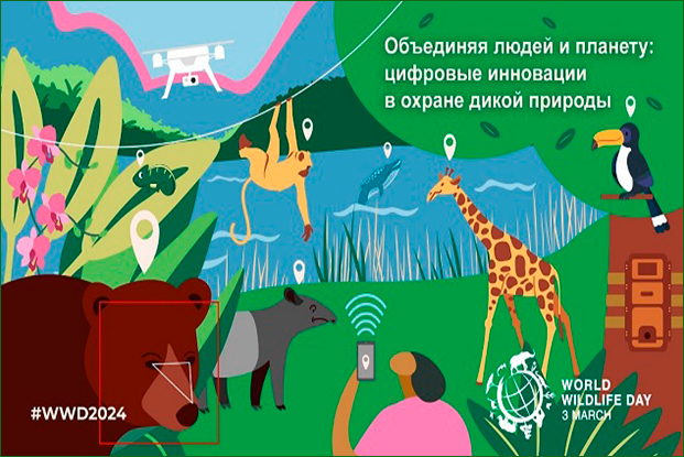 В 2024 году Всемирный день дикой природы будет отмечаться 3 марта под лозунгом «Соединяя людей и планету: изучение цифровых инноваций в охране дикой природы»!