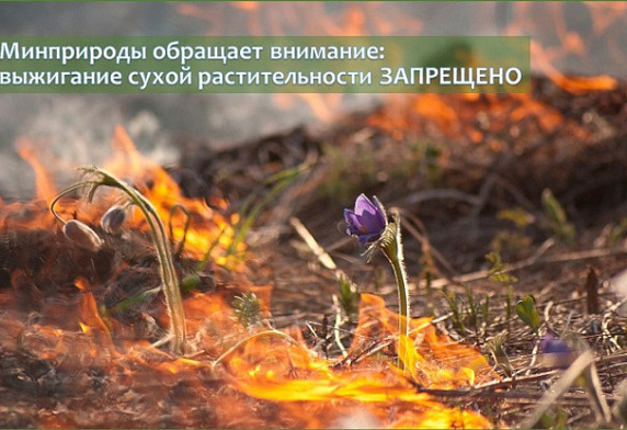 Минприроды обращает внимание: выжигание сухой растительности ЗАПРЕЩЕНО